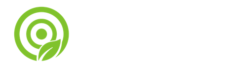 Tibo SEO